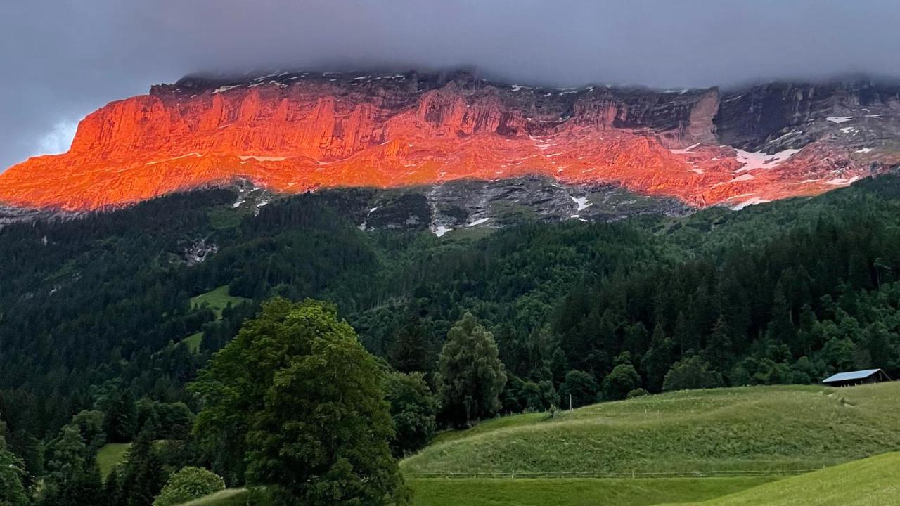 Ferienwohnung Im Gruenen Grindelwald Kültér fotó