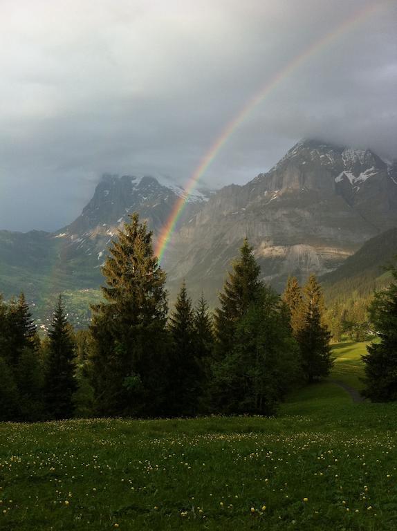 Ferienwohnung Im Gruenen Grindelwald Kültér fotó