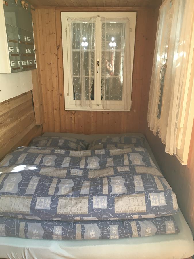 Ferienwohnung Im Gruenen Grindelwald Kültér fotó