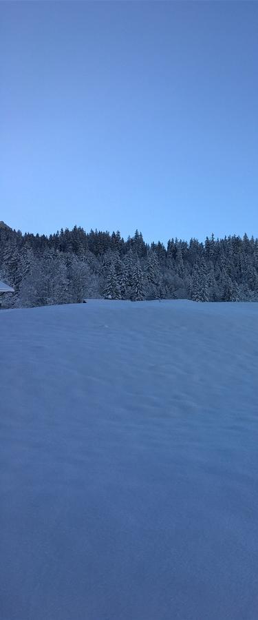 Ferienwohnung Im Gruenen Grindelwald Kültér fotó