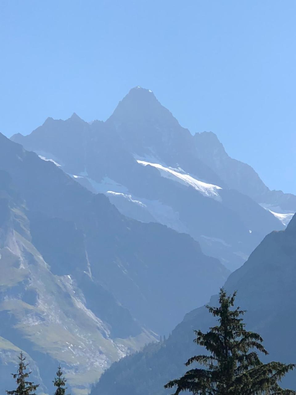 Ferienwohnung Im Gruenen Grindelwald Kültér fotó