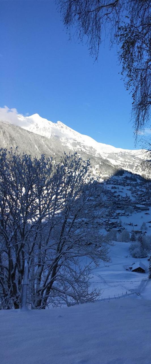 Ferienwohnung Im Gruenen Grindelwald Kültér fotó