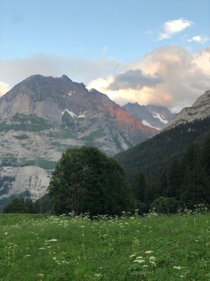 Ferienwohnung Im Gruenen Grindelwald Kültér fotó
